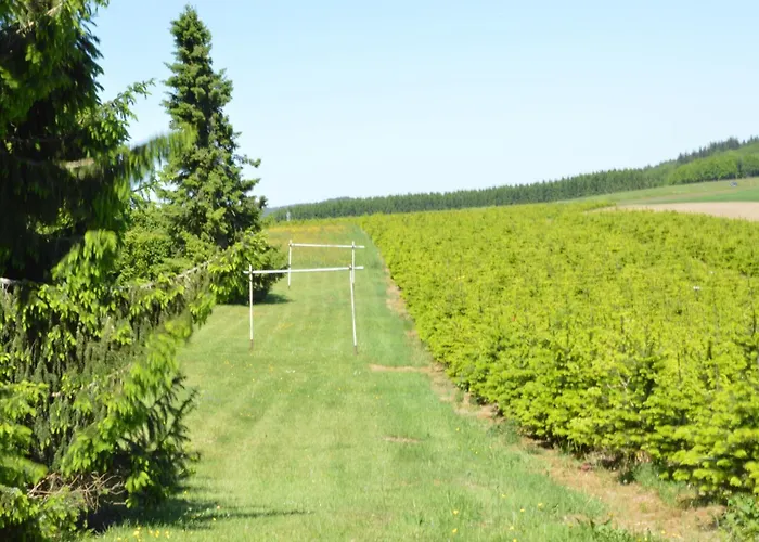 Family Bouillon And Semois River Gros-Fays
