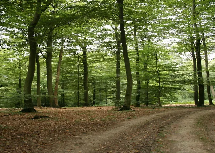 Apartment Family Bouillon And Semois River